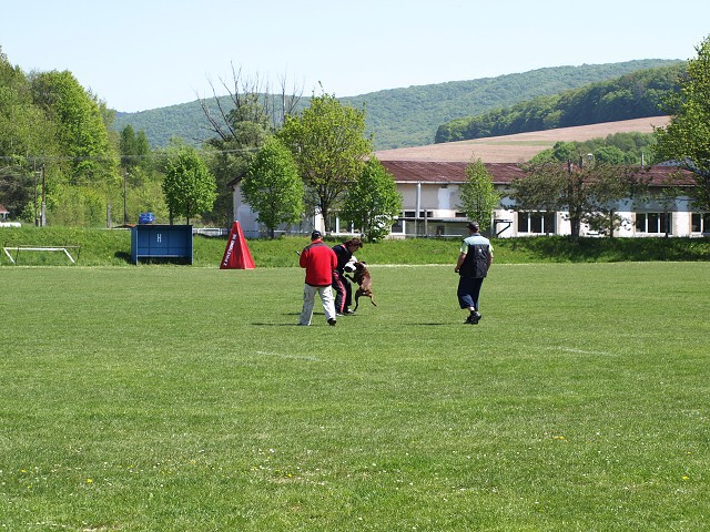 www.atibox.net * www.euroboxer.eu * www.boxergenealogia.eu